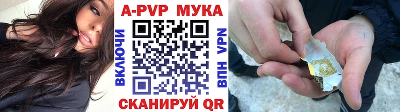 Альфа ПВП СК Кохма