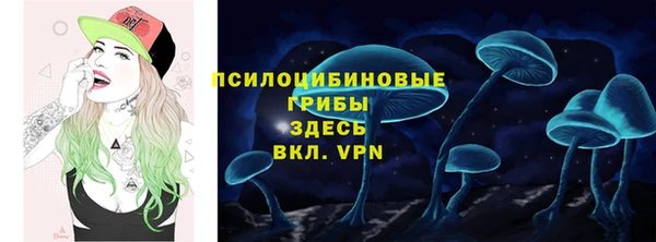 PSILOCYBIN Новодвинск