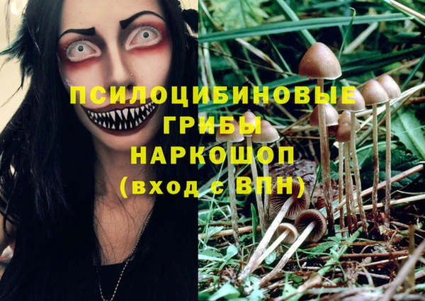 ешки Переславль-Залесский
