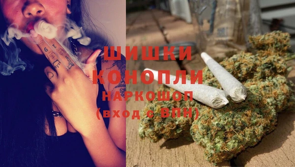 спиды Козловка