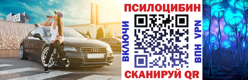 Галлюциногенные грибы GOLDEN TEACHER сколько стоит МЕГА Кохма