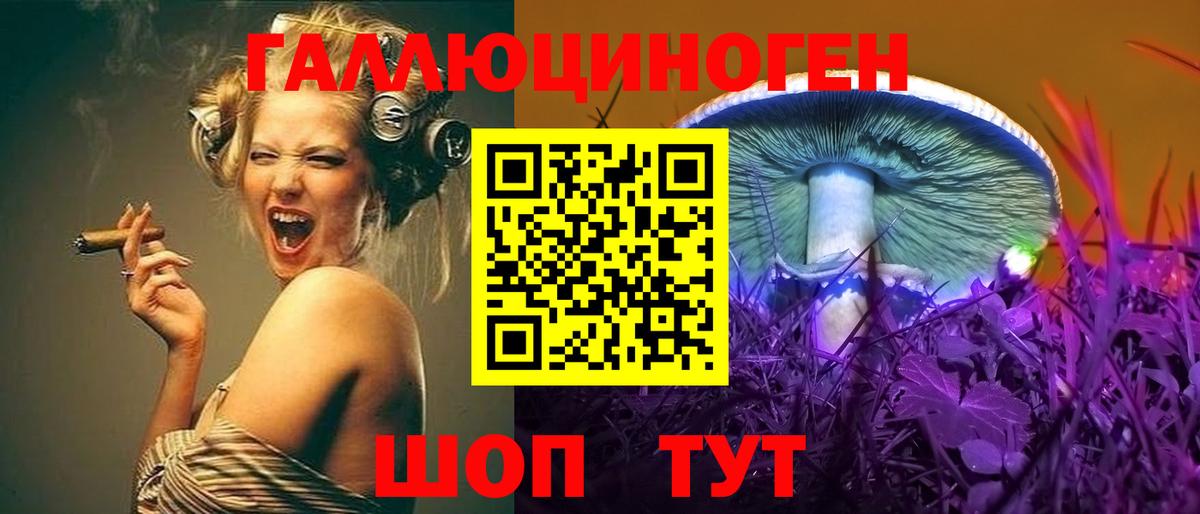 Галлюциногенные грибы Psilocybe Кохма